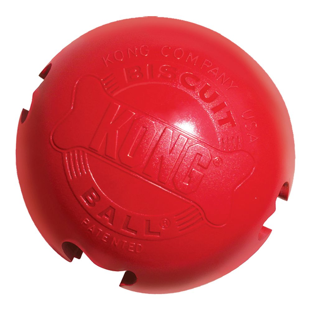 Red KONG biscuit ball