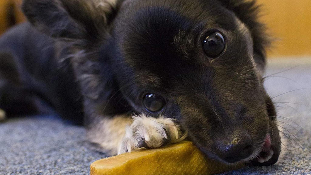 yak cheese himalyan dog chew for super chewer christmas