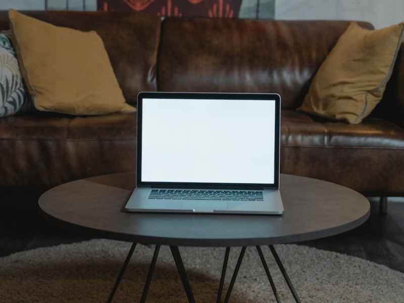 Entertain your Dog while Working from&nbsp;Home