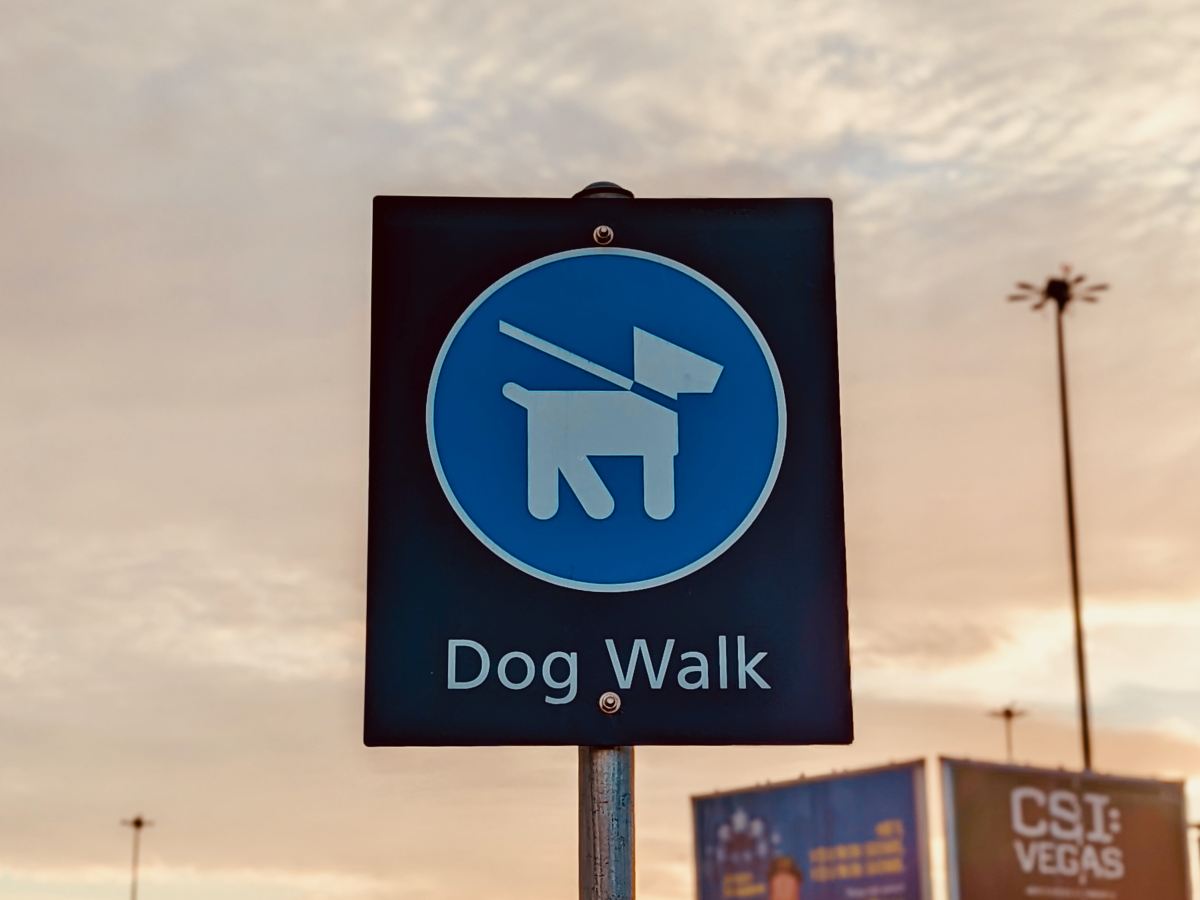 Free Dog Walks: Fun Places to Take Your Furry Friend on a&nbsp;Budget