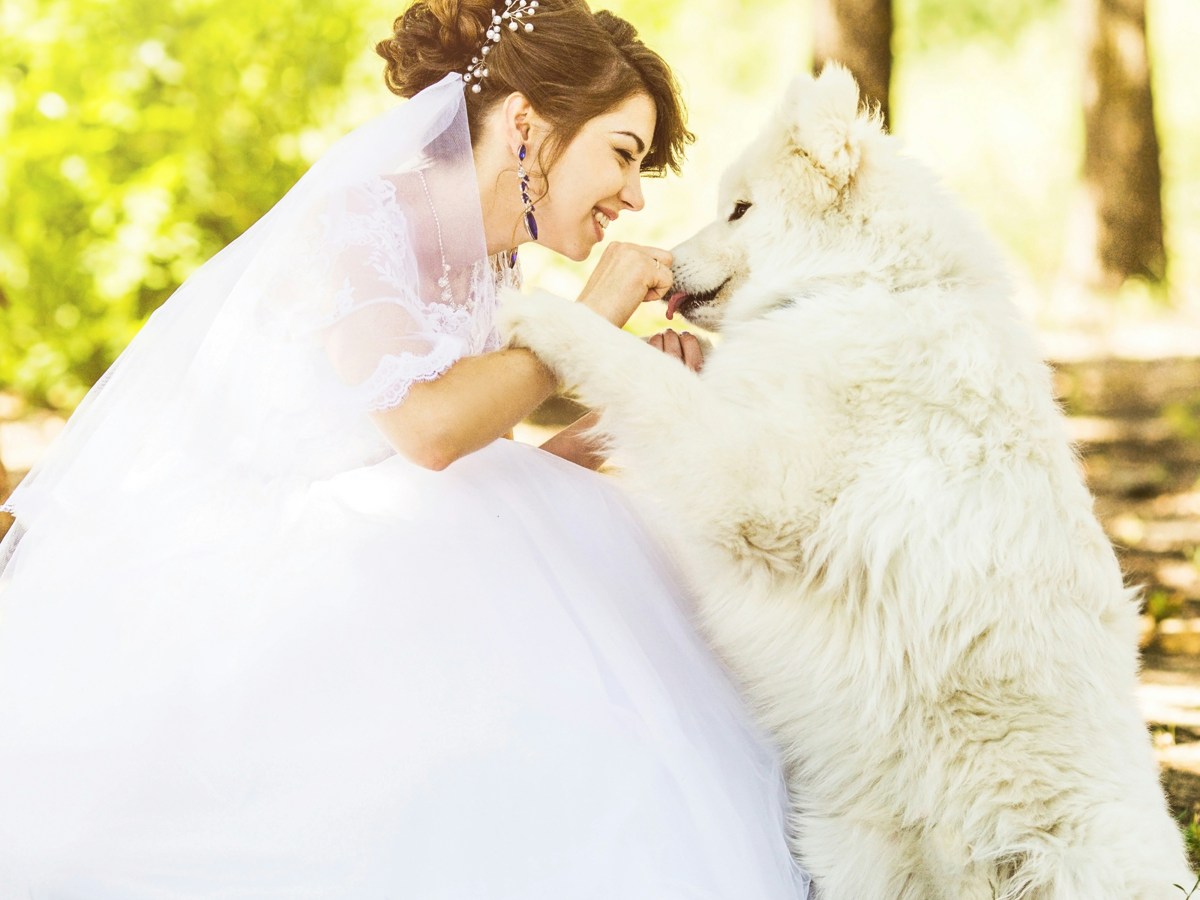 Paws & Vows: Including Your Dog in Your Wedding&nbsp;Celebration